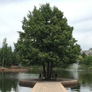 Meet your Posher, Anastasiia